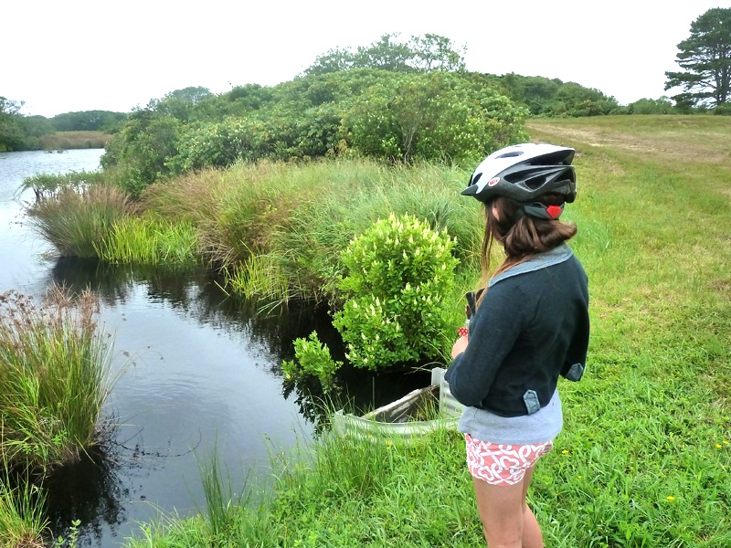 Stump Pond